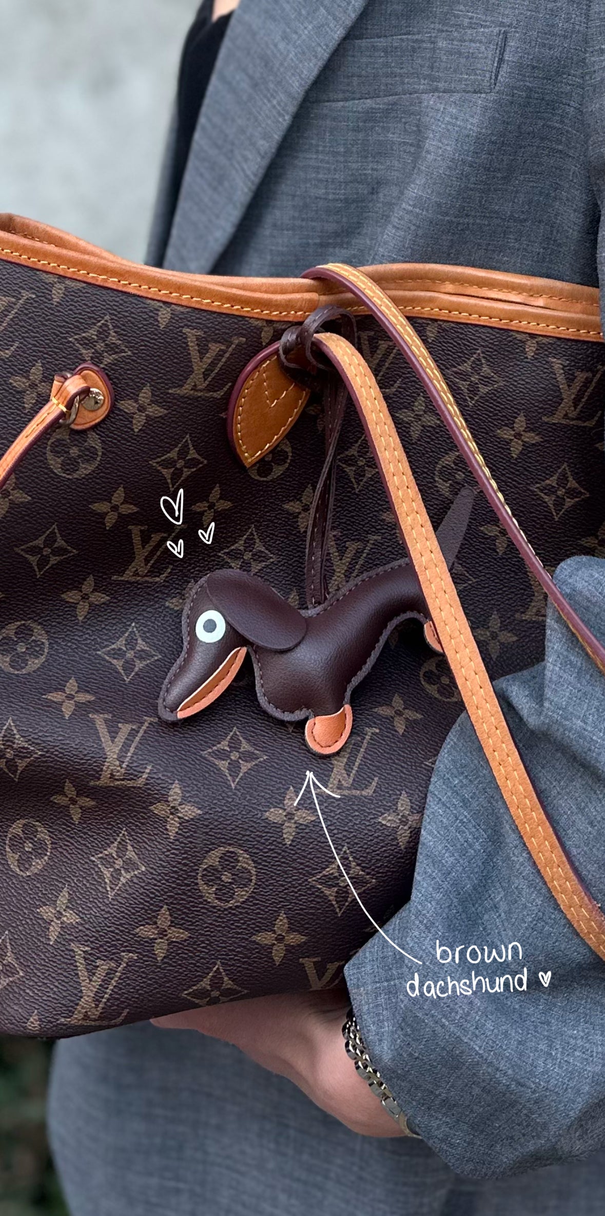 Dackel charm - schokobraun